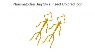 Phasmatodea Bug Stick Insect Colored Icon In Powerpoint Pptx Png And Editable Eps Format