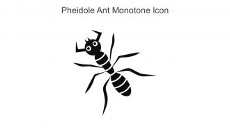 Pheidole Ant Monotone Icon In Powerpoint Pptx Png And Editable Eps Format