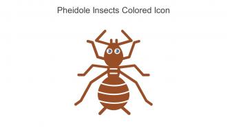 Pheidole Insects Colored Icon In Powerpoint Pptx Png And Editable Eps Format