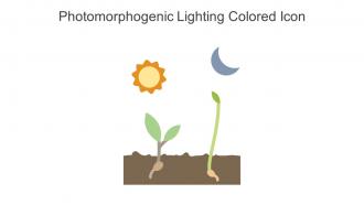 Photomorphogenic Lighting Colored Icon In Powerpoint Pptx Png And Editable Eps Format