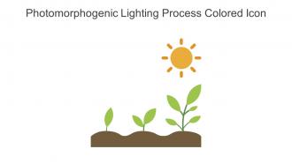 Photomorphogenic Lighting Process Colored Icon In Powerpoint Pptx Png And Editable Eps Format