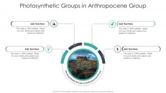 Photosynthetic Groups In Anthropocene Group In Powerpoint And Google Slides Cpp