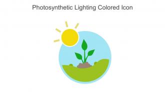 Photosynthetic Lighting Colored Icon In Powerpoint Pptx Png And Editable Eps Format