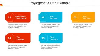 Phylogenetic Tree Example Ppt Powerpoint Presentation Model Slides Cpb