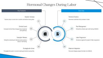 Physiological Changes During Labor Intrapartum PPT Structure AT Multipurpose Slides