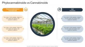 Phytocannabinoids Vs Cannabinoids Ppt Powerpoint Cpp