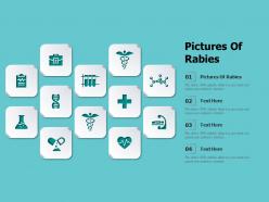 Pictures of rabies ppt powerpoint presentation slides background designs