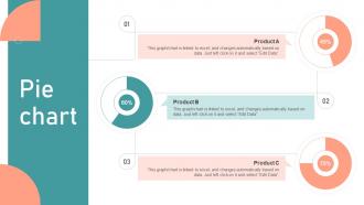 Pie Chart Customer Segmentation Targeting And Positioning Guide For Effective Marketing