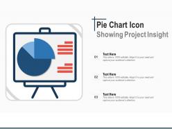 Pie Chart Icon Showing Project Insight