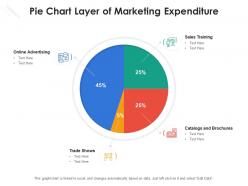 Pie chart layer of marketing expenditure
