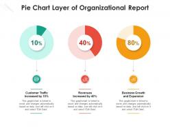 Pie chart layer of organizational report