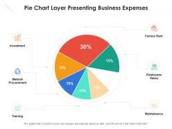 Pie chart layer presenting business expenses