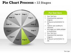 Pie chart process 12 stages 3