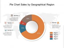 Pie chart sales by geographical region