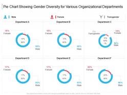 Pie Chart Showing Gender Diversity For Various Organizational Departments