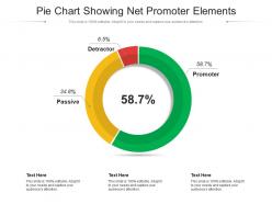 Pie chart showing net promoter elements