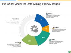 Pie chart visual for data mining privacy issues infographic template