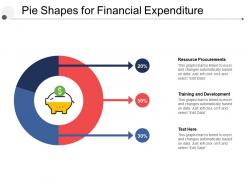 Pie shapes for financial expenditure