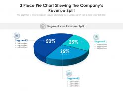 Piece pie chart showing the companys revenue split