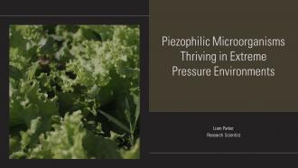 Piezophilic Microorganisms Thriving In Extreme Pressure Environments PPT Example ST AI