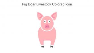 Pig Boar Livestock Colored Icon In Powerpoint Pptx Png And Editable Eps Format