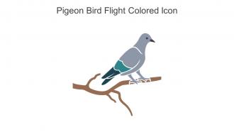 Pigeon Bird Flight Colored Icon In Powerpoint Pptx Png And Editable Eps Format
