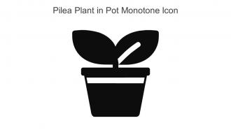 Pilea Plant In Pot Monotone Icon In Powerpoint Pptx Png And Editable Eps Format
