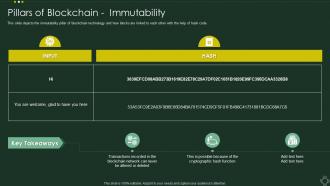 Pillars Of Blockchain immutability Cryptographic Ledger