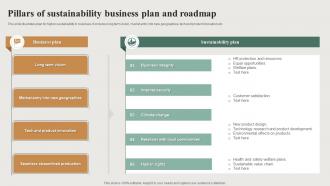 Pillars Of Sustainability Business Plan And Roadmap