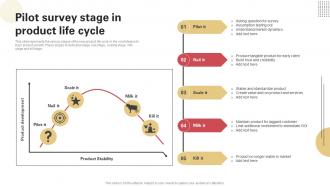 Pilot Survey Stage In Product Life Cycle