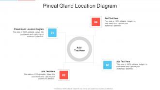 Pineal Gland Location Diagram In Powerpoint And Google Slides Cpb