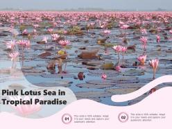 Pink Lotus Sea In Tropical Paradise