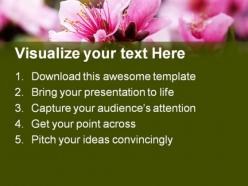 Pink peach blossom nature powerpoint templates and powerpoint backgrounds 0311
