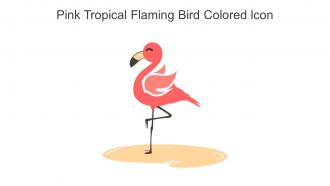 Pink Tropical Flaming Bird Colored Icon In Powerpoint Pptx Png And Editable Eps Format
