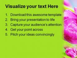 Pink tulips beauty powerpoint templates and powerpoint backgrounds 0311