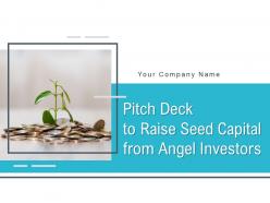 Pitch Deck To Raise Seed Capital From Angel Investors Powerpoint Presentation Slides