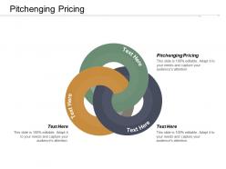Pitchenging pricing ppt powerpoint presentation gallery inspiration cpb