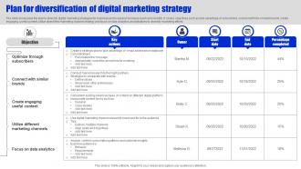 Plan For Diversification Of Digital Marketing Strategy