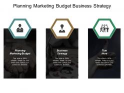 planning_marketing_budget_business_strategy_category_management_process_cpb_Slide01