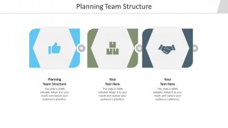 Planning team structure ppt powerpoint presentation gallery graphics tutorials cpb