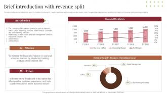 Planning To Raise Money Through Financial Instruments Brief Introduction With Revenue Split