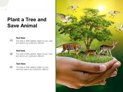 Plant A Tree And Save Animal