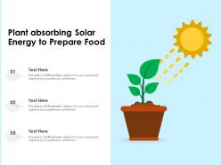 Plant absorbing solar energy to prepare food