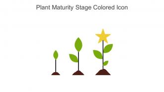 Plant Maturity Stage Colored Icon In Powerpoint Pptx Png And Editable Eps Format