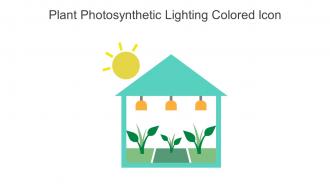 Plant Photosynthetic Lighting Colored Icon In Powerpoint Pptx Png And Editable Eps Format