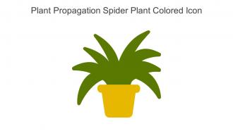Plant Propagation Spider Plant Colored Icon In Powerpoint Pptx Png And Editable Eps Format