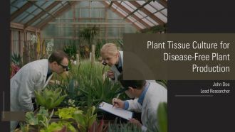 Plant Tissue Culture For Disease Free Plant Production PPT PowerPoint AT
