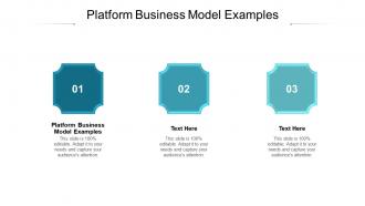Platform business model examples ppt powerpoint presentation ideas portrait cpb