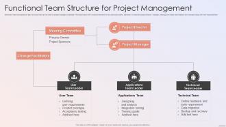 Playbook For Developers Functional Team Structure For Project Management