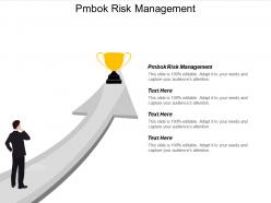 Pmbok risk management ppt powerpoint presentation gallery example file cpb